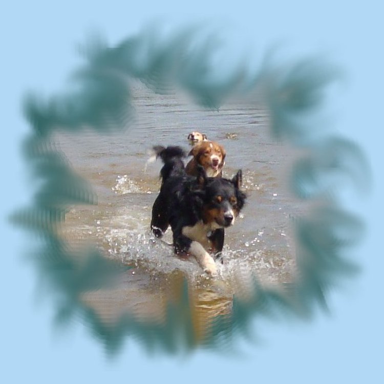 Die Drei im See