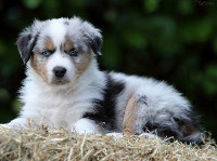 TS Like the Wind in the Sky