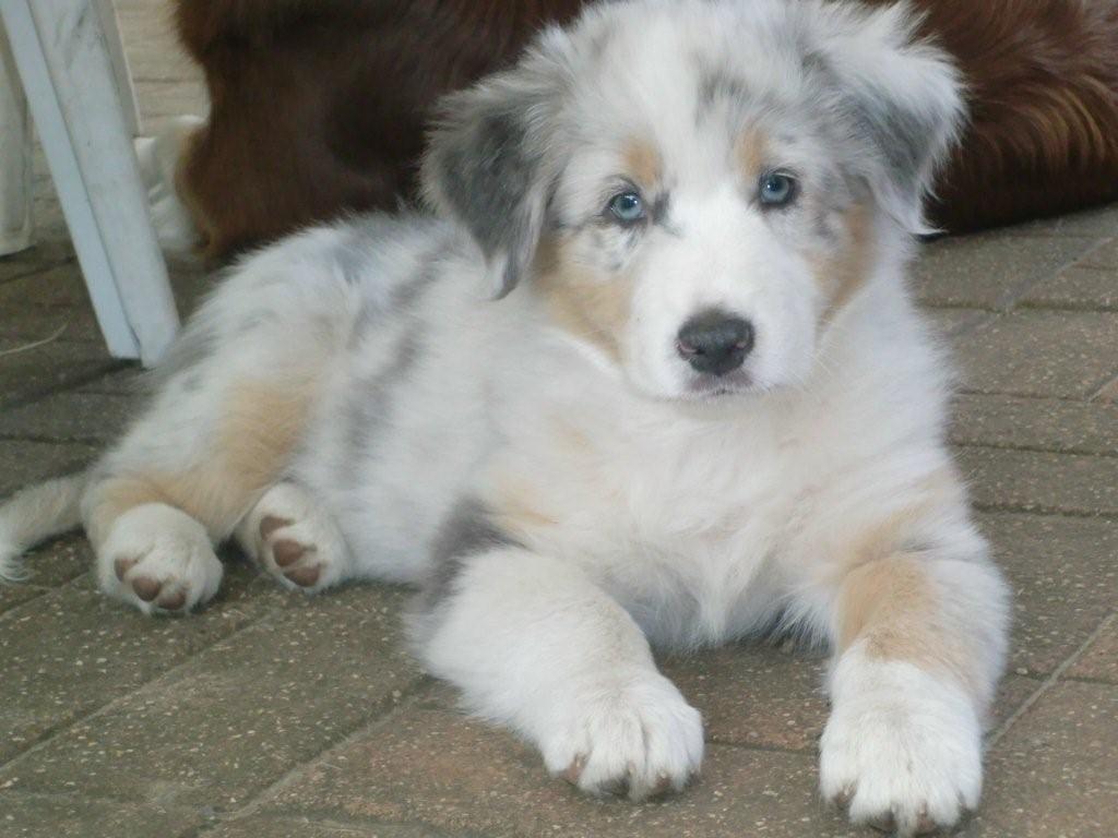 TS Early Morning Light Emmi