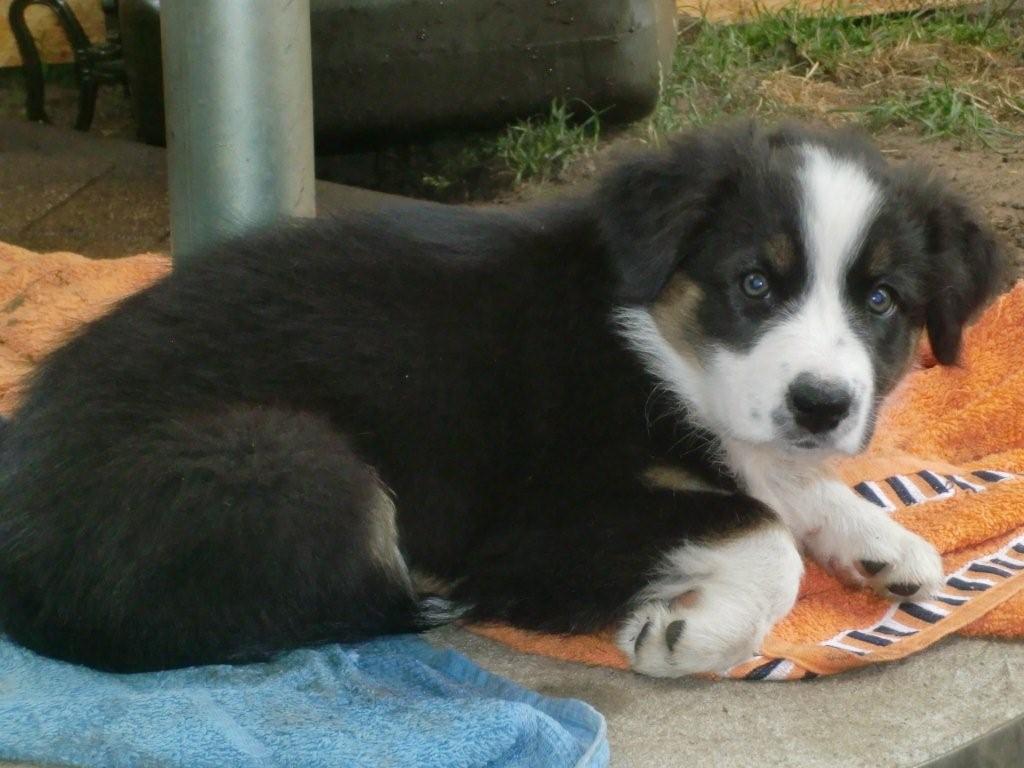 TS Tine from Dusk till Dawn