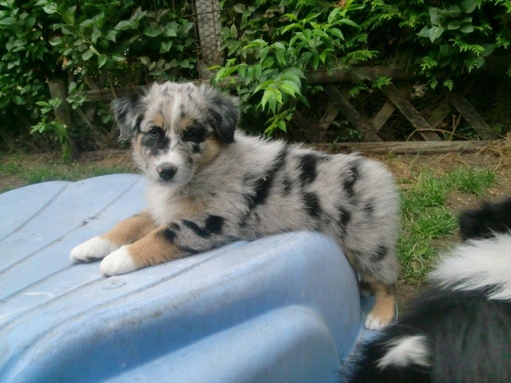 TS Jenna at the Midnight Hour