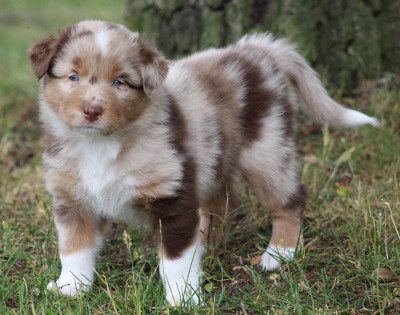 TS Dorie brings Sun in your Heart