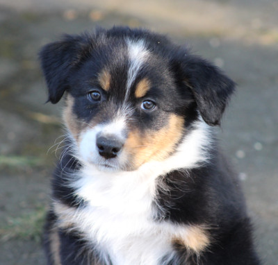 TS With Duster through the Summer Wind