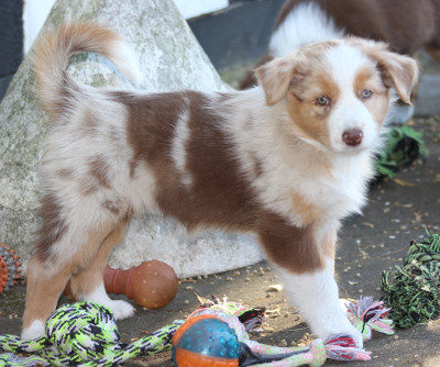 TS Mina follow the Light