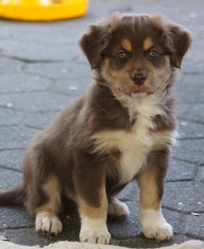 TS Lovely Message from Buddy