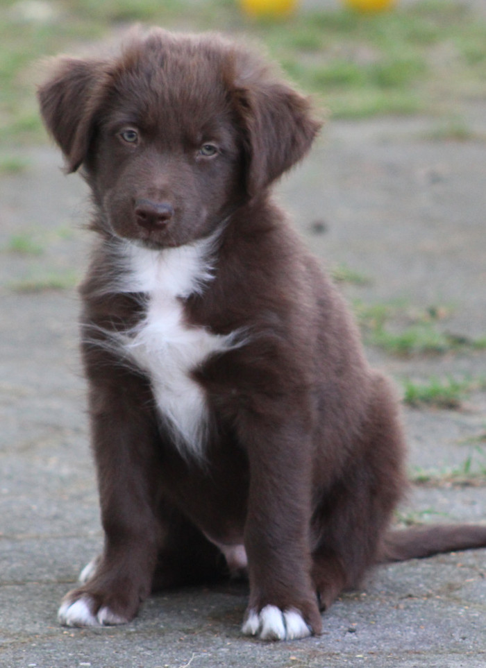 TS Peaceful Heart with Loki