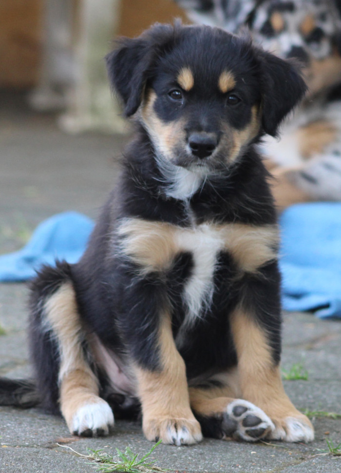 TS Lucy Wonderful Blessing