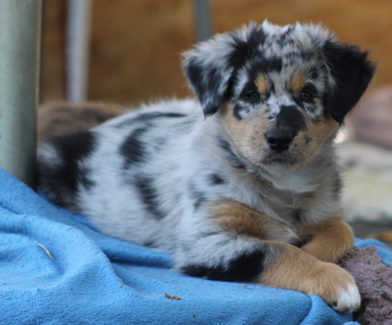 TS Odin sent from Heaven