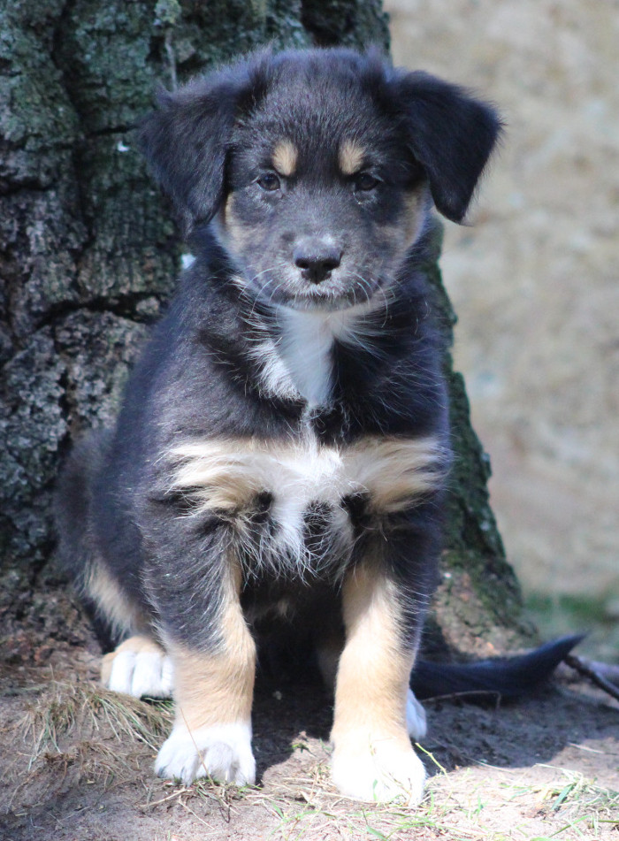 TS Ronja Blessed Happyness