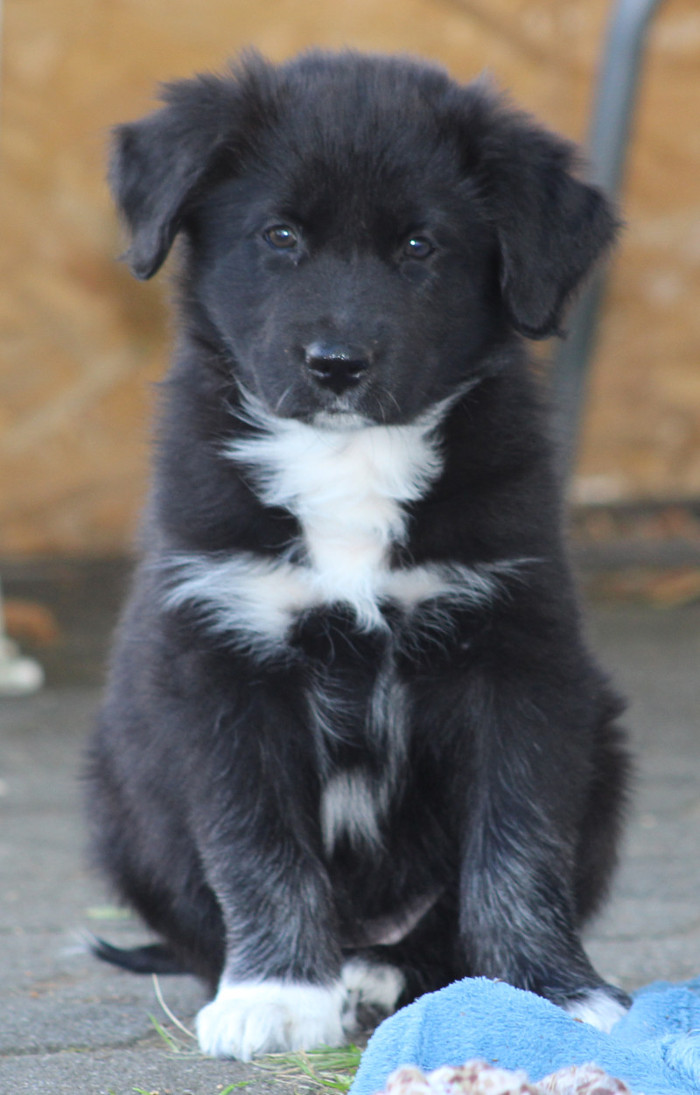 TS Happyness comes with Katy