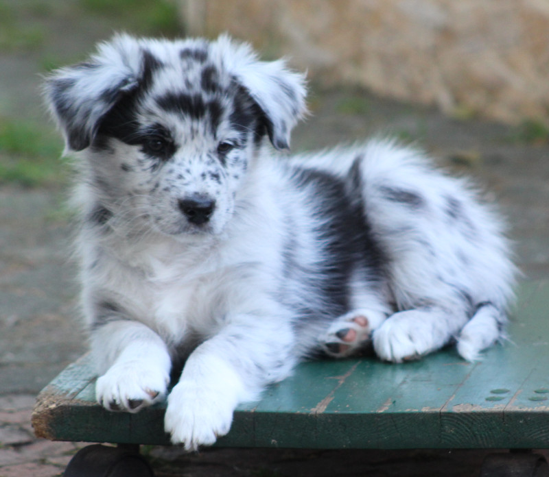 TS Kena with Peaceful Soul