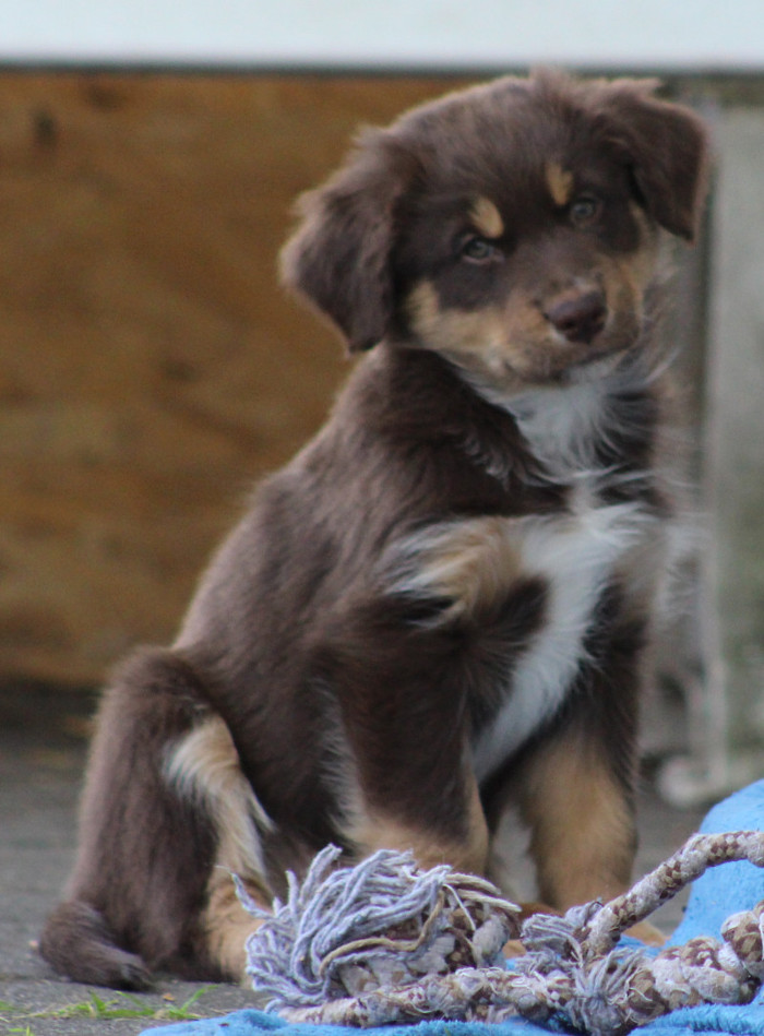 TS Luca blessed in Love